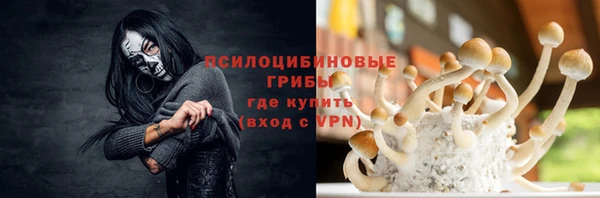 Альфа ПВП Алзамай