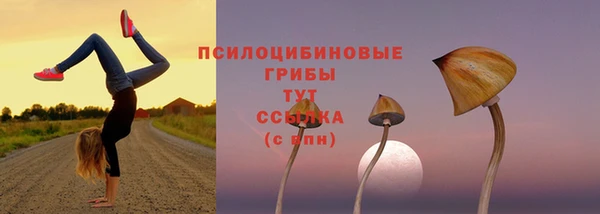 винт Абдулино