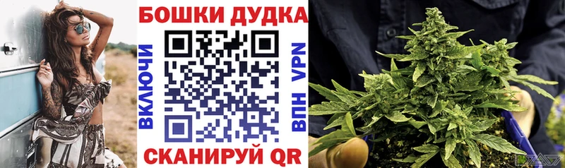 Марихуана SATIVA & INDICA  OMG ссылка  Сурск 